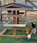 Image result for Chicken Perches for Coops