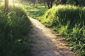 Image result for Dirt Path Garden