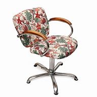 Image result for Hairdressing Chair