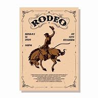 Image result for Bell Rodeo Flyer