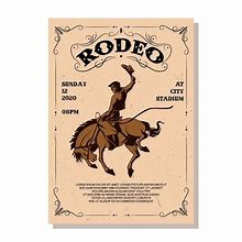 Image result for Rodeo Flyer