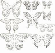 Image result for butterfly wings patterns