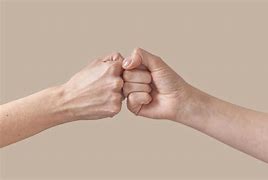 Image result for Jersey Shore Fist Bump