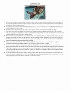 Image result for Sea Turtle Fact Sheet