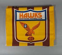 Image result for Hawthorn Hawks Logo