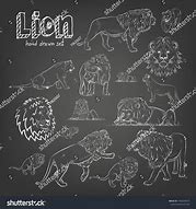 Image result for Chalk Doodles Lion