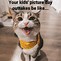 Image result for Cat Memes Funny Clean Work