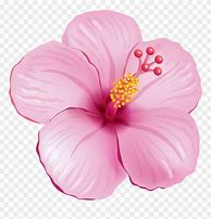 Image result for Tropical Flower Clip Art Black and White