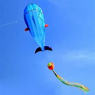 Image result for Animal Inflatable Kite