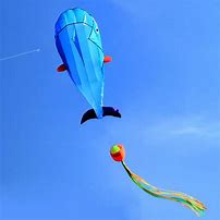 Image result for Inflatable Kite Cat