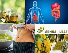 Image result for senna leaf benefits