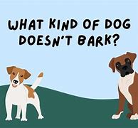 Image result for Dog Jokes for Lovers