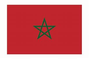 Image result for morocco flag vector