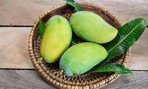 Image result for Mango Raw Leave