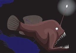 Image result for Humpback AnglerFish