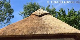 Image result for Interior Side Thatch Roof