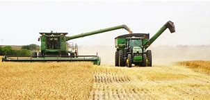 Image result for Wheat Harvest