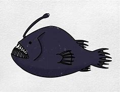 Image result for Angler Fish Draw