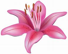 Image result for Purple Lily Flower Clip Art