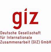 Image result for Giz Skpe Logo