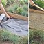 Image result for DIY Flagstone Path