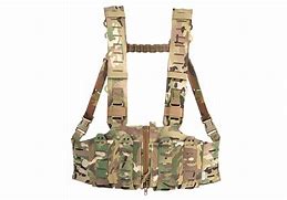 Image result for Blue Force Gear Chest Rig