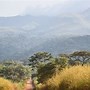 Image result for Mount Nimba Strict Nature Reserve