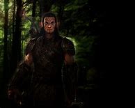 Image result for Dalish Elf Character Art