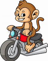 Image result for Monkey Riding Motorcycle