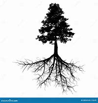 Image result for Black and White Tree with Roots