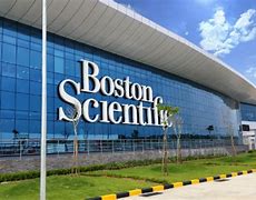 Image result for Boston Batu Kawan