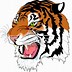 Image result for Tiger Mascot Costume PNG