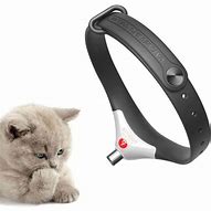 Image result for Cat Laser Collar