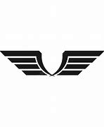 Image result for Wings Logo.png