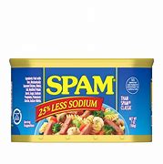 Image result for Spam Pics