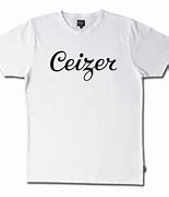 Image result for Ceiztur Logo