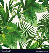 Image result for Tropical Leaves Background Logo