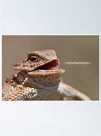 Image result for Stop Talking Lizard Meme