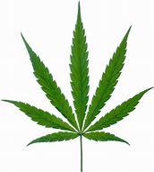 Image result for Transparent Marijuana Leaf Clip Art