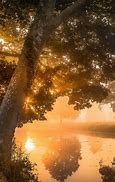 Image result for Sunny Morning Bing Wallpaper