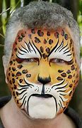 Image result for Leopard Whiskers