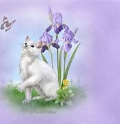 Image result for Cat and Butterfly Wallpaper