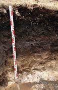 Image result for Histosols Soil