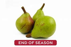 Image result for Egyptian Pear