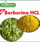 Image result for Berberine 97