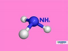 Image result for NH4HCO3