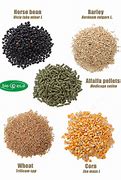 Image result for Organic Animal Feed