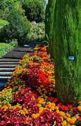 Image result for Lake Constance Mainau