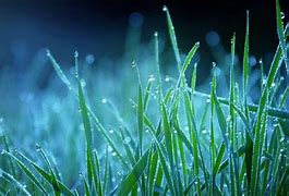 Image result for Indian Monsoon Wallpaper