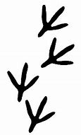 Image result for Chicken Feet Prints